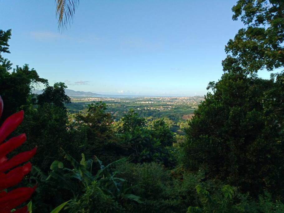 Martinique La Petite Maison Dans La Colline Ламантен Экстерьер фото