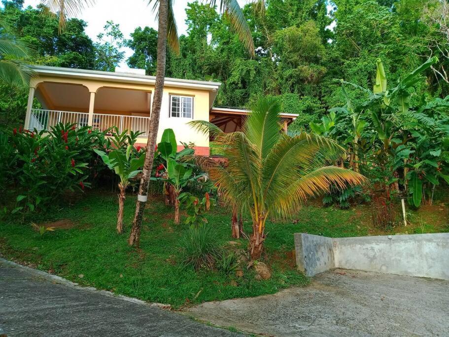 Martinique La Petite Maison Dans La Colline Ламантен Экстерьер фото