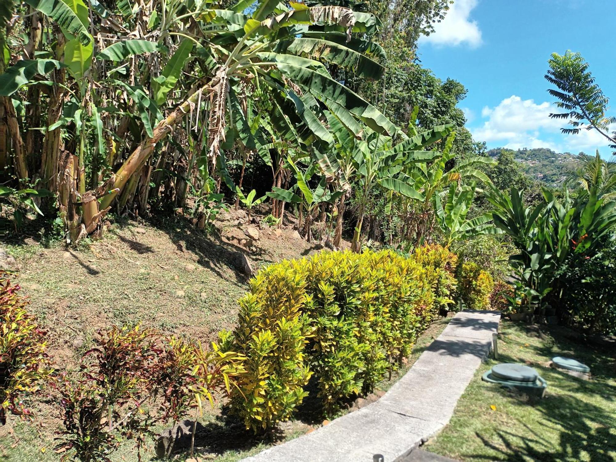 Martinique La Petite Maison Dans La Colline Ламантен Экстерьер фото