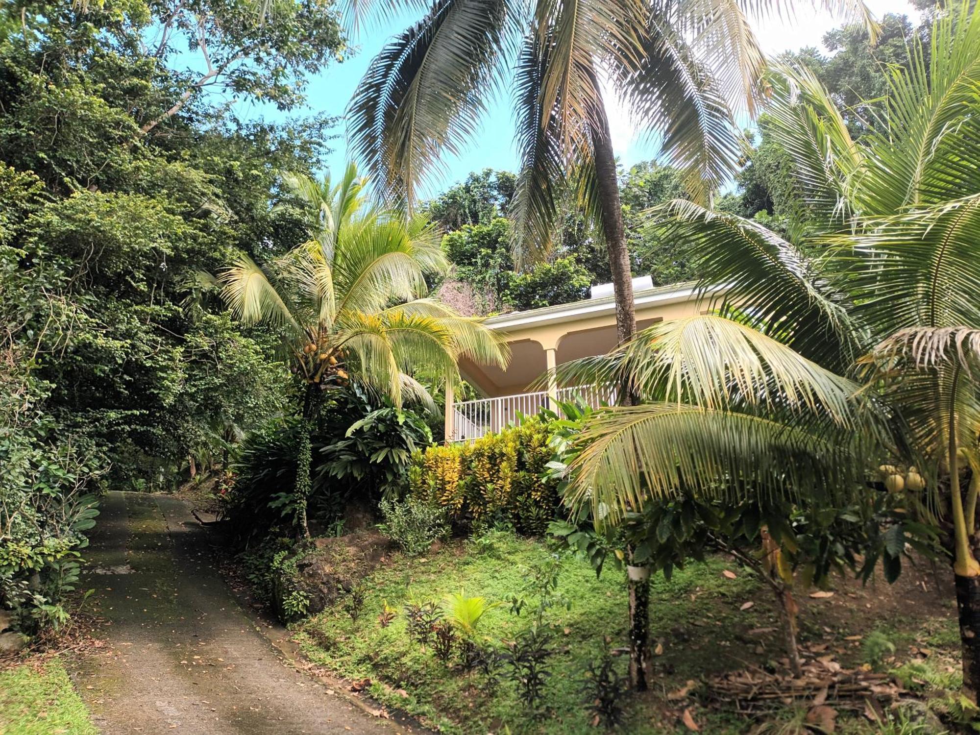 Martinique La Petite Maison Dans La Colline Ламантен Экстерьер фото